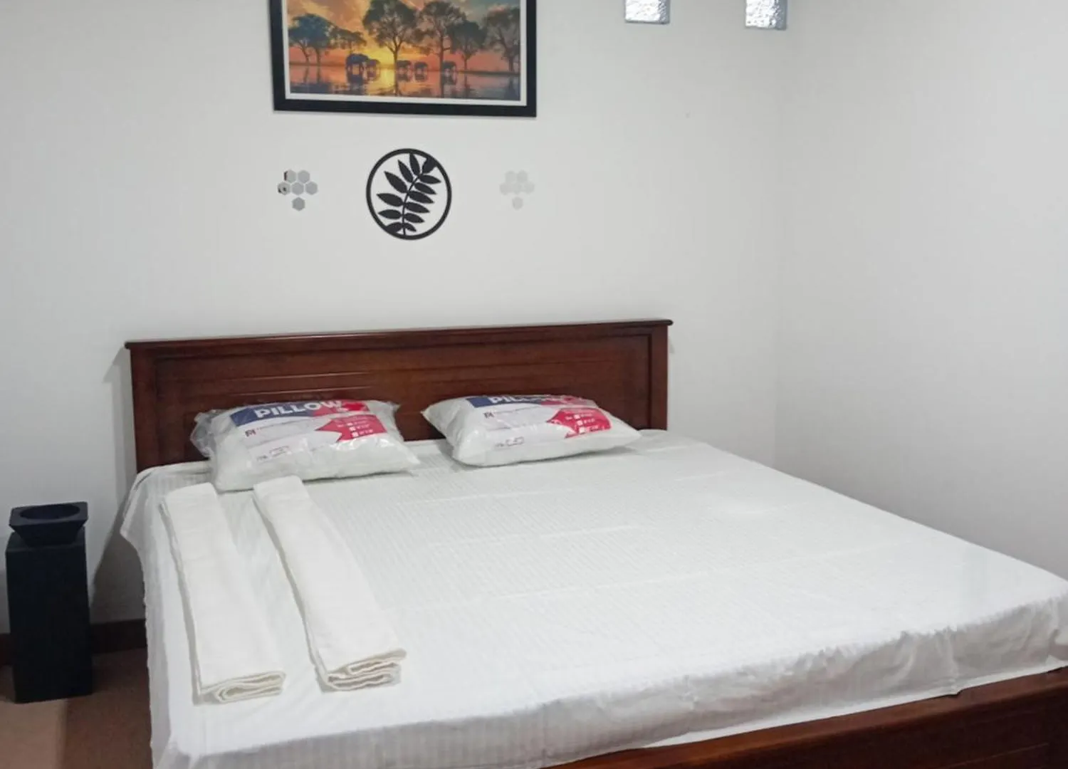 Araliya Villa Seeduwa 0*,